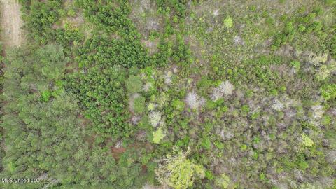 7298 Terry Rd, Terry, MS 39170 photo 20