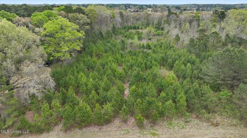 7298 Terry Rd, Terry, MS 39170 photo 5