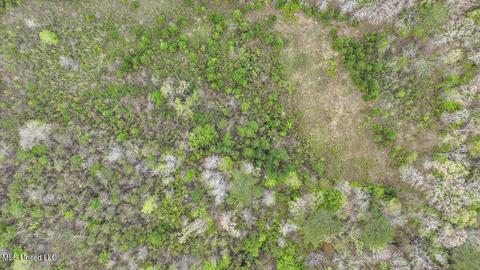 7298 Terry Rd, Terry, MS 39170 photo 21