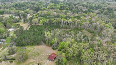 7298 Terry Rd, Terry, MS 39170 photo 18