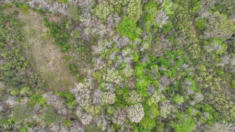 7298 Terry Rd, Terry, MS 39170 photo 22