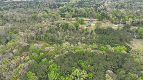 7298 Terry Rd, Terry, MS 39170 photo 24