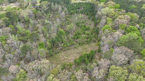 7298 Terry Rd, Terry, MS 39170 photo 28