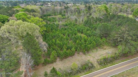 7298 Terry Rd, Terry, MS 39170 photo 3