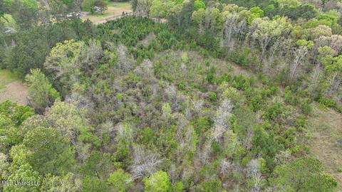 7298 Terry Rd, Terry, MS 39170 photo 27