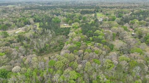 7298 Terry Rd, Terry, MS 39170 photo 15