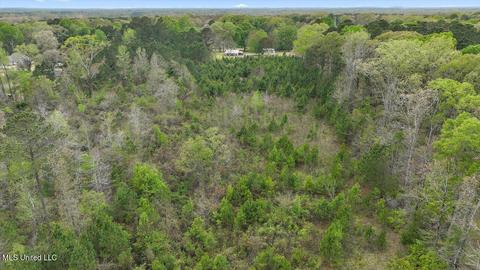 7298 Terry Rd, Terry, MS 39170 photo 29