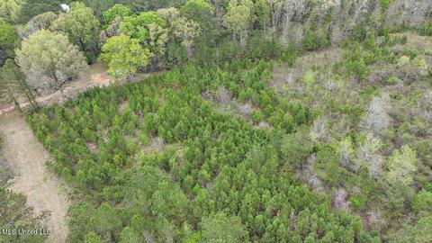 7298 Terry Rd, Terry, MS 39170 photo 8