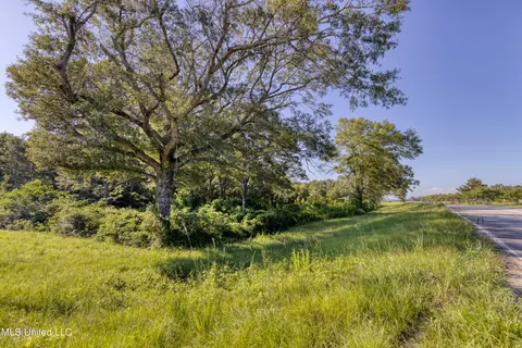 0 N Highway 49, Wiggins, MS 39577 photo 6