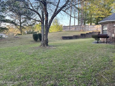 113 Azalea Trails Dr, Brandon, MS 39047 photo 74