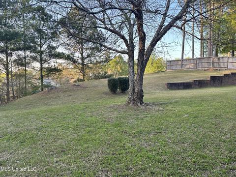 113 Azalea Trails Dr, Brandon, MS 39047 photo 70