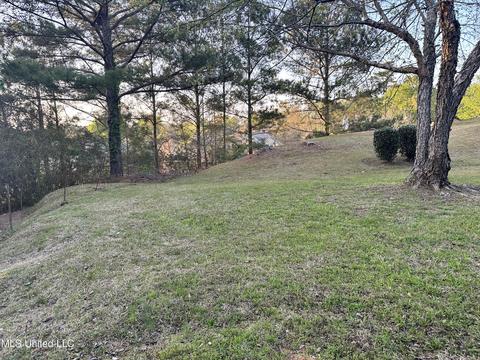 113 Azalea Trails Dr, Brandon, MS 39047 photo 71