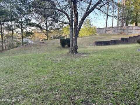 113 Azalea Trails Dr, Brandon, MS 39047 photo 75