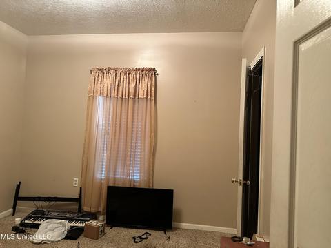 113 Azalea Trails Dr, Brandon, MS 39047 photo 63
