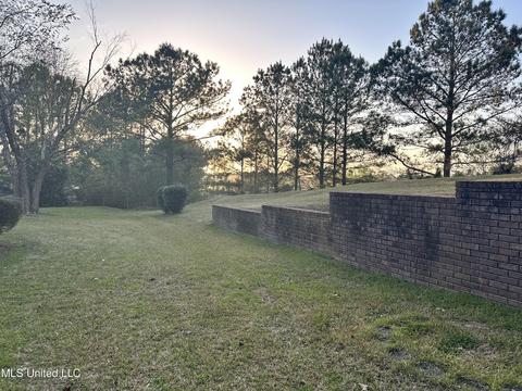 113 Azalea Trails Dr, Brandon, MS 39047 photo 67