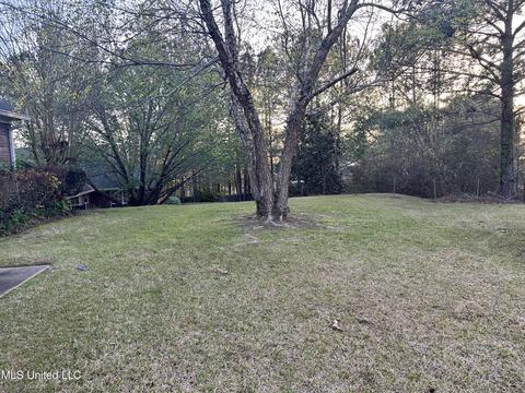113 Azalea Trails Dr, Brandon, MS 39047 photo 68