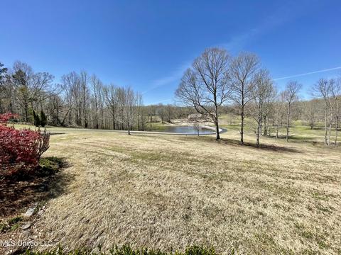 4292 Conner Dr, Hernando, MS 38632 photo 38