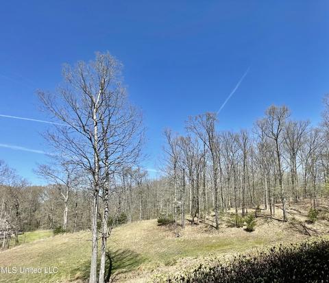 4292 Conner Dr, Hernando, MS 38632 photo 48