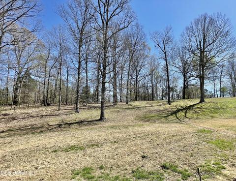 4292 Conner Dr, Hernando, MS 38632 photo 50