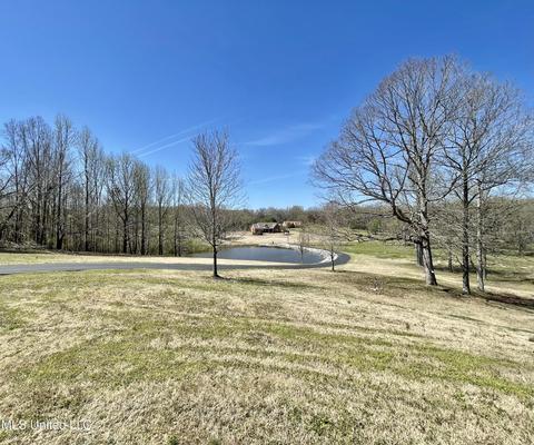 4292 Conner Dr, Hernando, MS 38632 photo 45