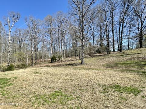 4292 Conner Dr, Hernando, MS 38632 photo 49