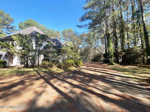 217 Dogwood Pl, Flowood, MS 39232 photo 12