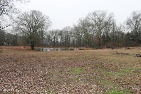 2869 Pleasant Hill Rd, Nesbit, MS 38651 photo 5