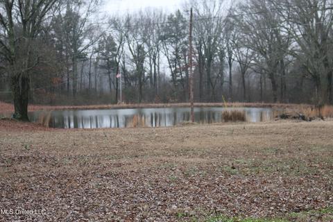 2869 Pleasant Hill Rd, Nesbit, MS 38651 photo 6