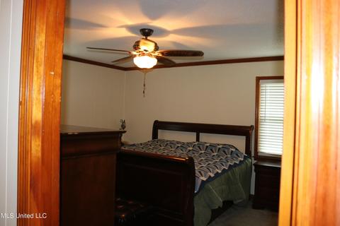 2869 Pleasant Hill Rd, Nesbit, MS 38651 photo 11