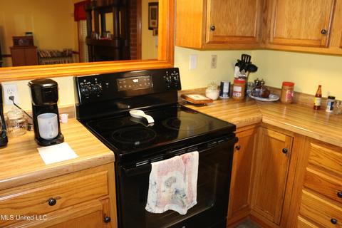 2869 Pleasant Hill Rd, Nesbit, MS 38651 photo 20
