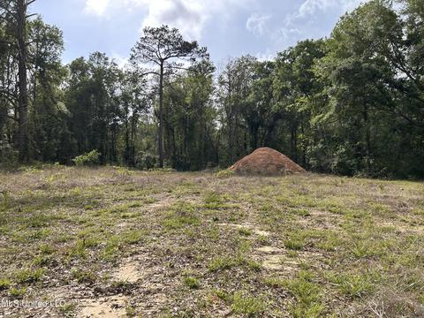 58 Doubloon Dr, Carriere, MS 39426