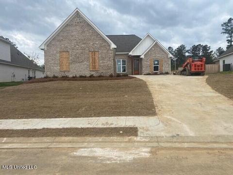 203 Herons Bay Cir, Madison, MS 39110 photo 2