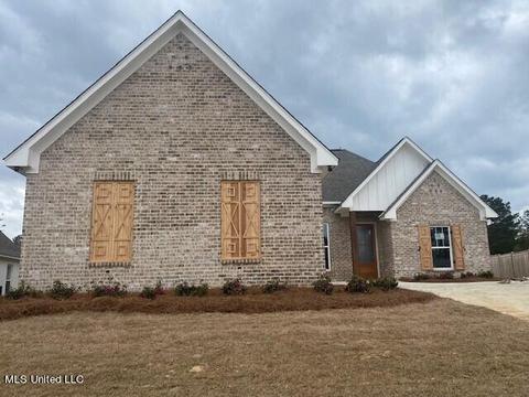 203 Herons Bay Cir, Madison, MS 39110 photo 1