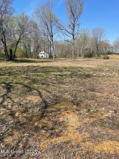 27 Love Sta, Hernando, MS 38632 photo 2
