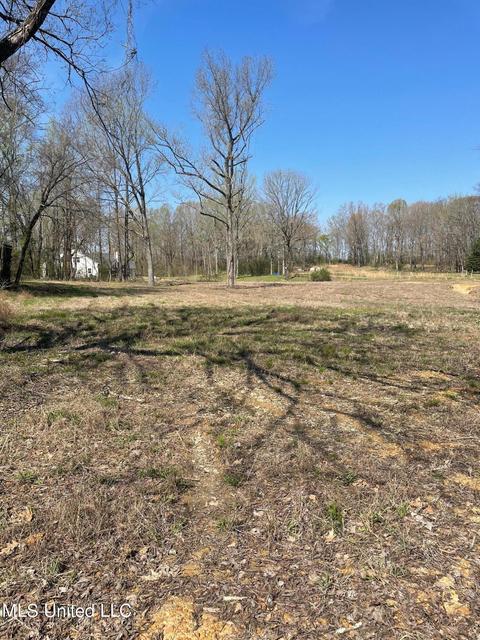 27 Love Sta, Hernando, MS 38632