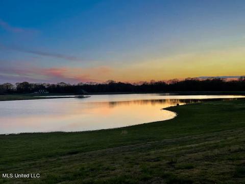 101 Trace Cv, Senatobia, MS 38668 photo 49