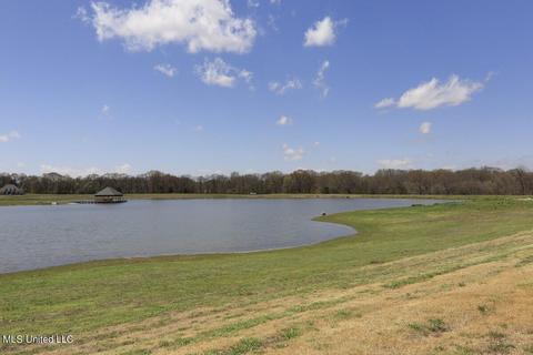 101 Trace Cv, Senatobia, MS 38668 photo 45