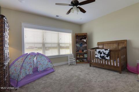 101 Trace Cv, Senatobia, MS 38668 photo 17