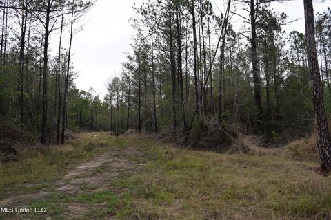 00 Rd 328, Perkinston, MS 39573