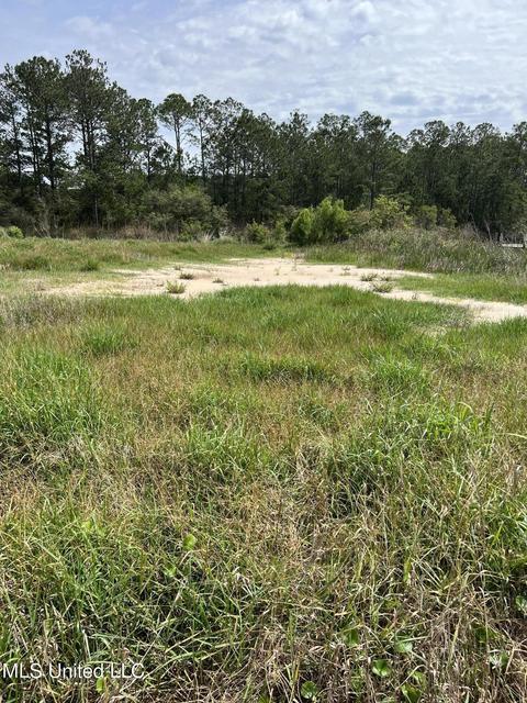10262 Whale Ave, Bay Saint Louis, MS 39520