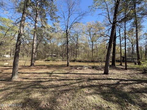 106 Holly Trl, Brandon, MS 39047