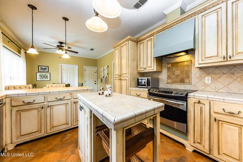 114 E Hill Dr, Madison, MS 39110 photo 18