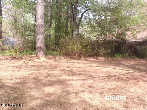 18 Matt Cir, Jackson, MS 39212 photo 28