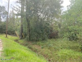Corner Of 7th Ave And 12th St, Pearlington, MS 39572