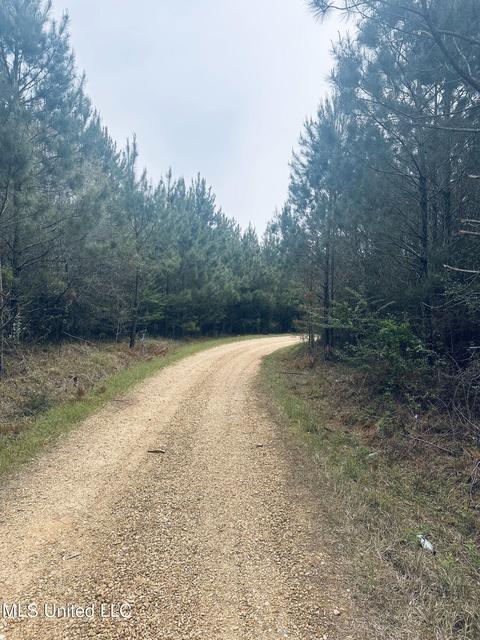 000 Elem-tyler Rd, Monticello, MS 39654 photo 3
