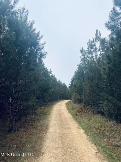 000 Elem-tyler Rd, Monticello, MS 39654 photo 2