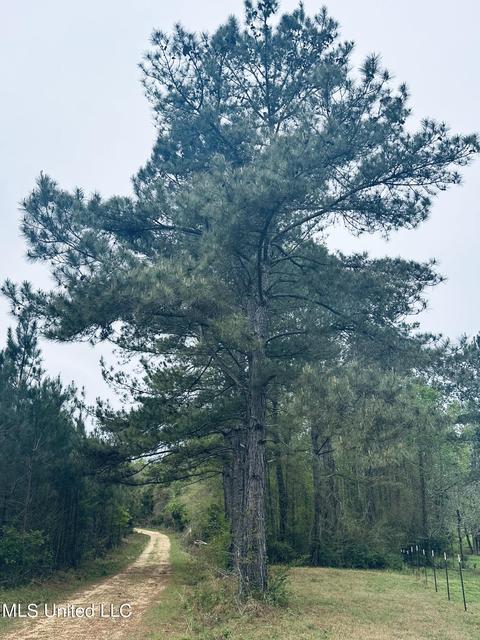 000 Elem-tyler Rd, Monticello, MS 39654