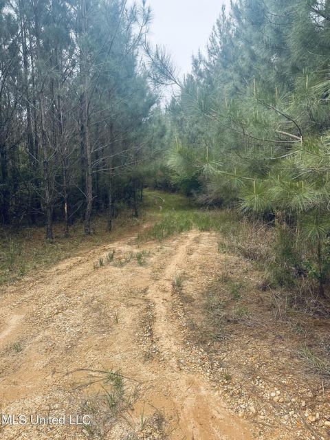 000 Elem-tyler Rd, Monticello, MS 39654 photo 4