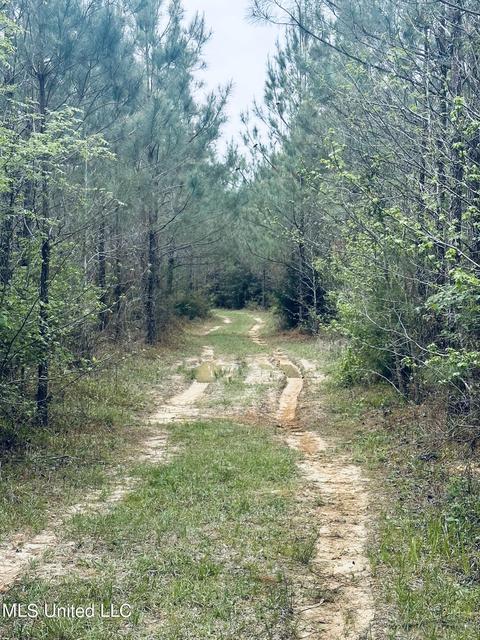 000 Elem-tyler Rd, Monticello, MS 39654 photo 5