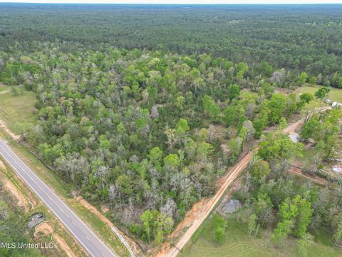 E Mchenry Road, Perkinston, MS 39573 photo 8